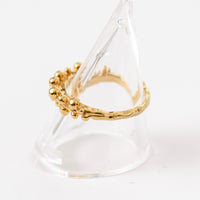 Bubble ring